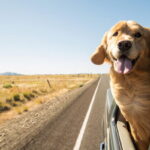 Tips for Long-Distance Road Trips