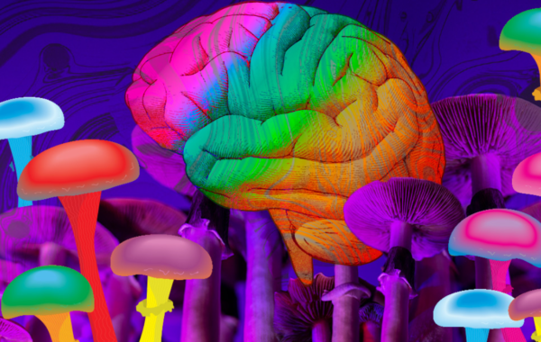 Neuroscience of Psychedelic Compounds